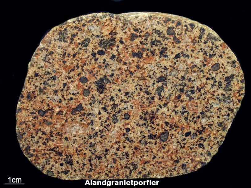 Alandgranietporfier - Zwerfsteen van Ellertshaar (Dr.). Op het gepolijste oppervlak van deze Aland kwartsmonzonietporfier is goed te zien dat de ronde kwartsen omgeven zijn door een smalle donkere rand van chloriet.